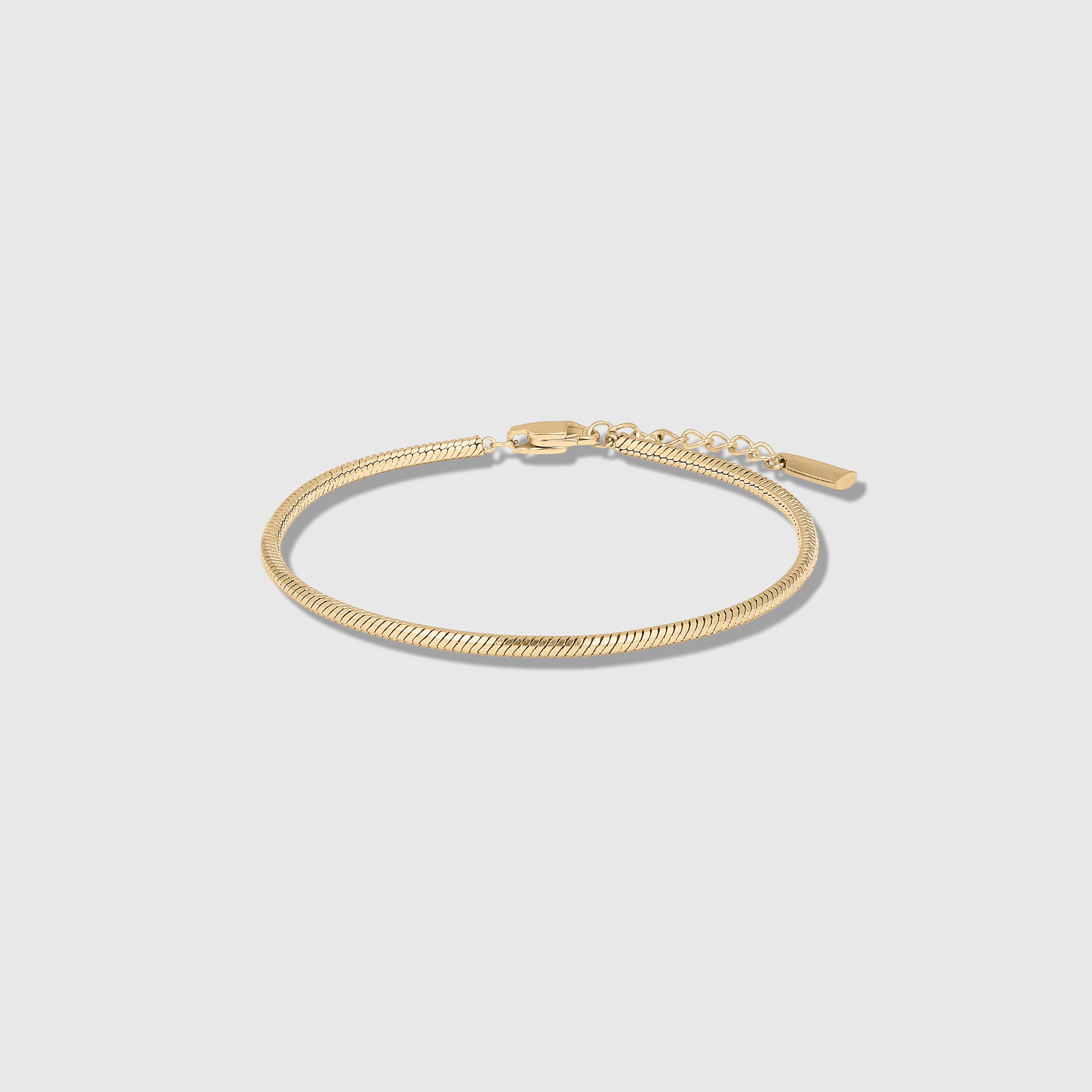 Classic Snake Chain Bracelet (Gold)